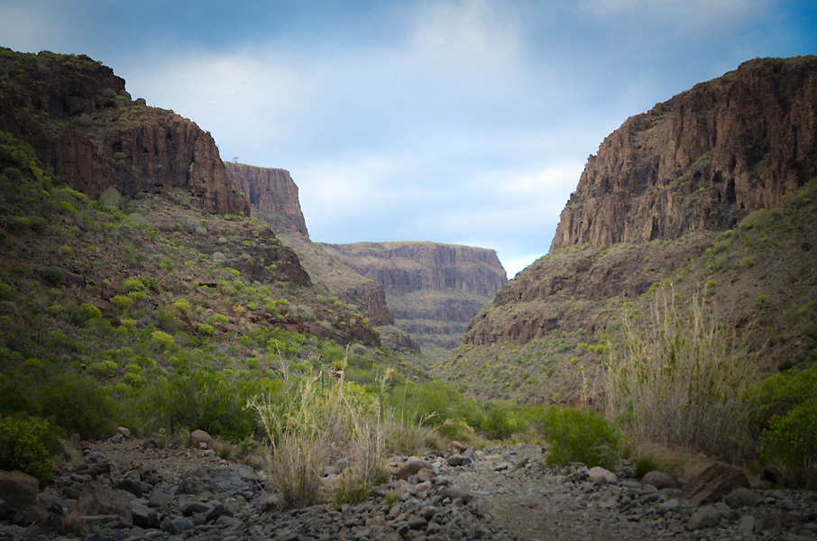 grancanariarunningincanyon.jpg