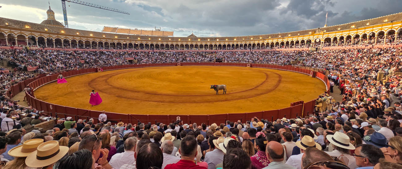 sevilla2026bullfights.jpg