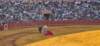sevilla2026bullfightsdetail_small.jpg