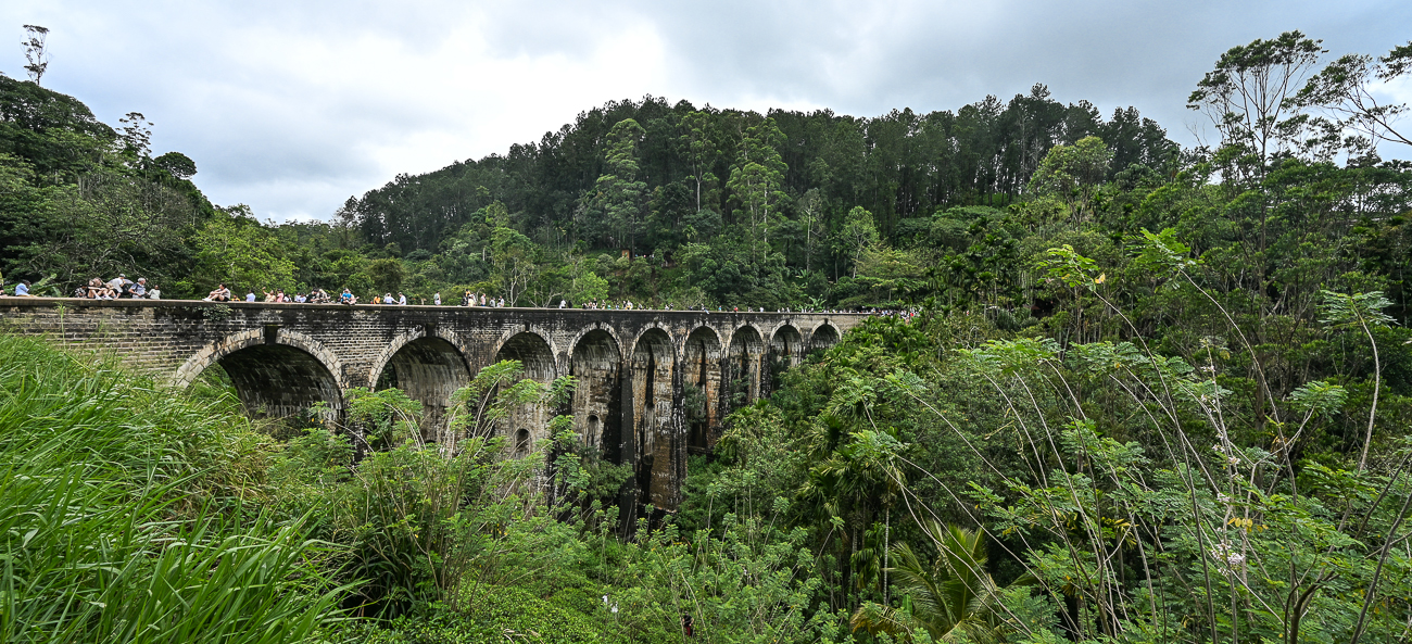 ellaninearchbridgeviews.jpg