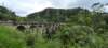ellaninearchbridgeviews_small.jpg
