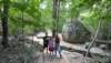 forestmonasteryofritigalapath_small.jpg