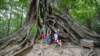 forestmonasteryofritigalatrees_small.jpg