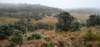 hortonplainsnationalparkscenery_small.jpg