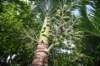 unknownplants_small.jpg