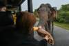 yalanationalparkfeeding_small.jpg