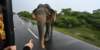 yalanationalparkpassportcheck_small.jpg