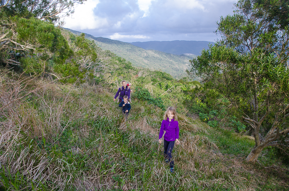 kentingnationalparkhikinginjungle.jpg