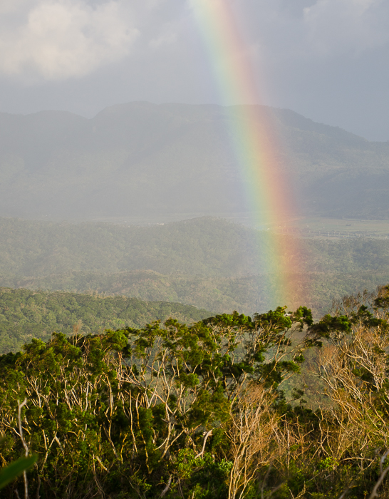 kentingnationalparkrainbow.jpg