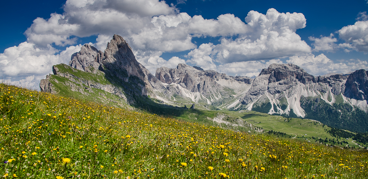 trip2020dolomitessecedaflowers.jpg