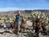 joshuatreechollacactusgardenpanorma_small.jpg