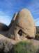 joshuatreejumborocksdiery_small.jpg