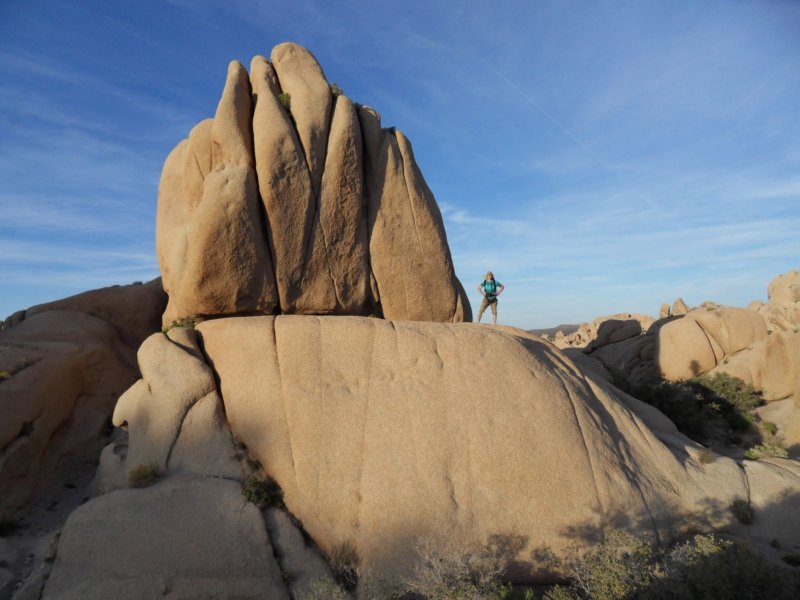 joshuatreejumborocksprrodamzmyselajprematematiku.jpg