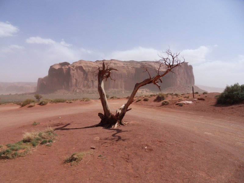 monumentalvalleypozoruhodnstrom.jpg