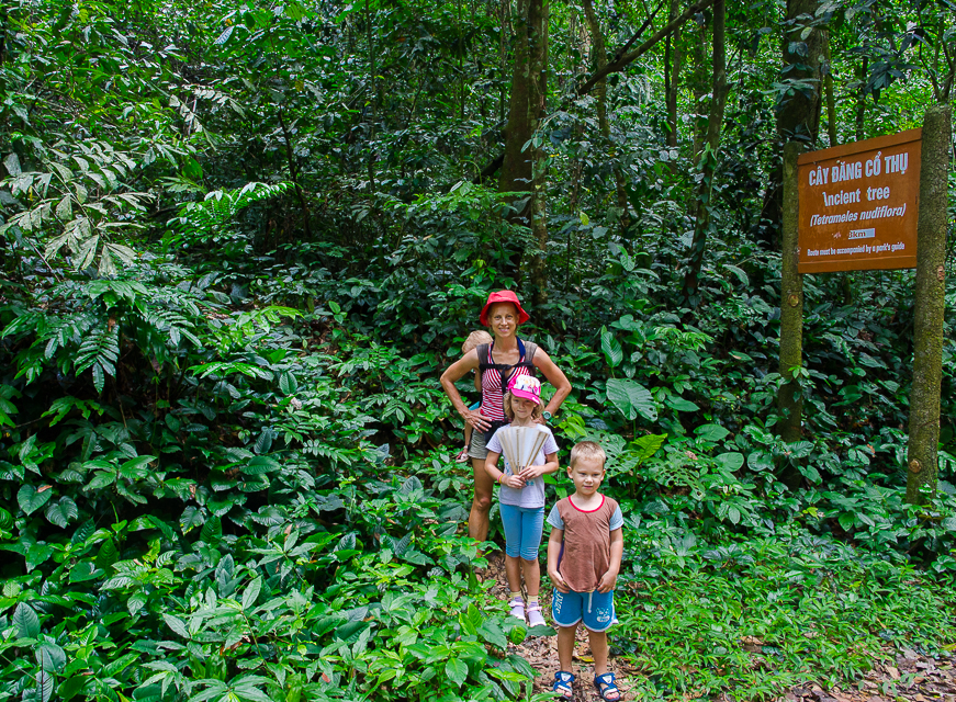 cucphuongnationalparkjungletrek.jpg