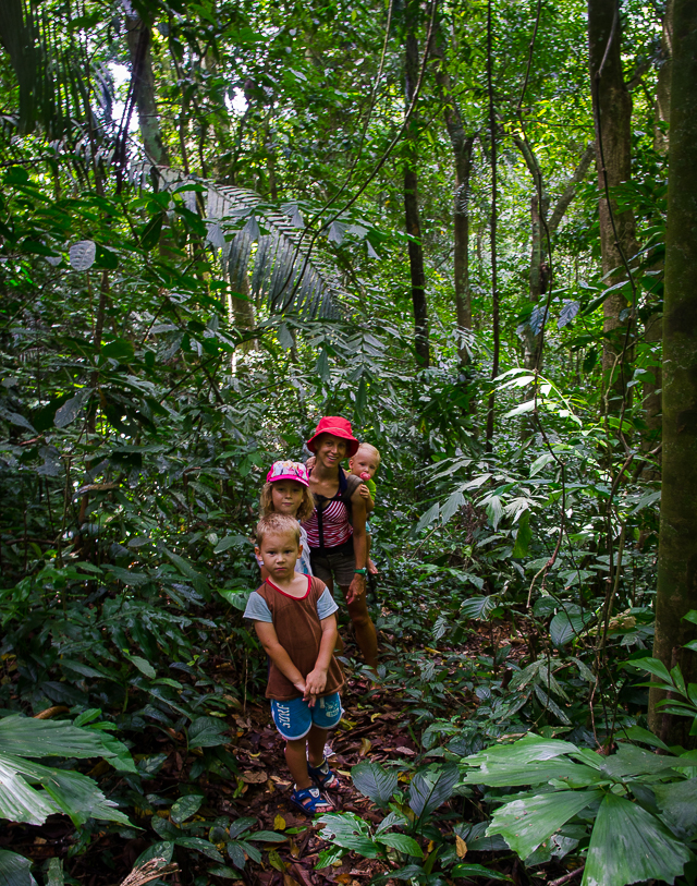 cucphuongnationalparkjungletrekhuntingthespiders.jpg