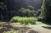 botanicgarden_small.jpg