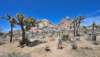 joshuatreenationalparkbeauty_small.jpg