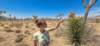 joshuatreenationalparkflora_small.jpg
