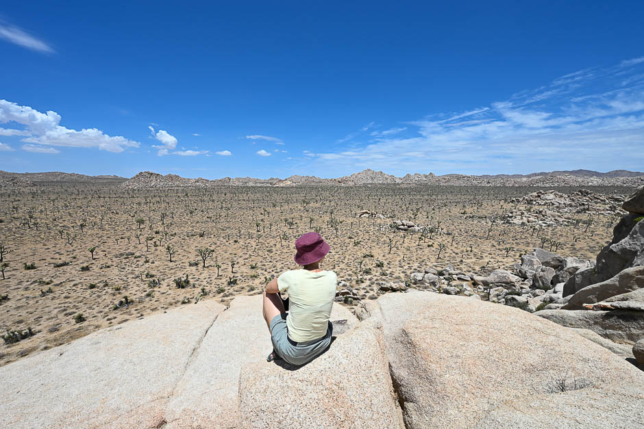 joshuatreenationalparkminds.jpg