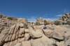 joshuatreenationalparkscenery_small.jpg