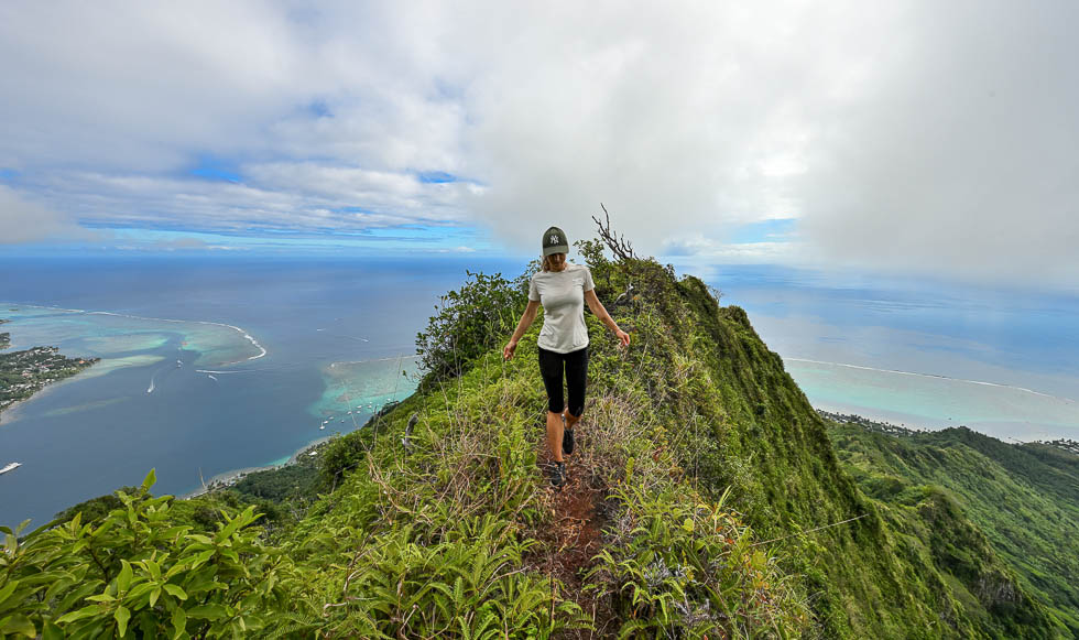 mountrotuiedgewalking.jpg