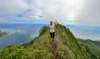 mountrotuiedgewalking_small.jpg
