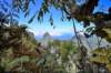 mountrotuiviews_small.jpg