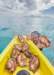 tahitimynewjob_small.jpg
