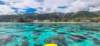 tahitiourbeach_small.jpg