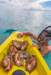 tahitishellcollection_small.jpg