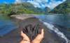 tautirabeachheart_small.jpg