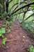 trackto3pines_small.jpg