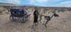 usajoshuanationalpark_small.jpg